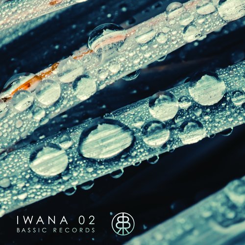 VA - IWANA 02 Dripping Sun [BSSVA04]